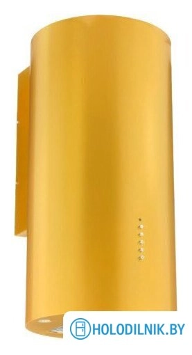 Кухонная вытяжка Akpo Balmera 40 WK-10 (золотой)