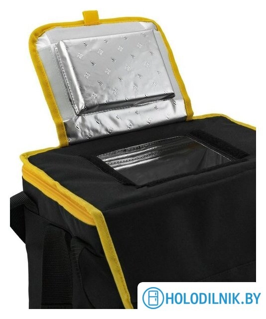 Термосумка Арктика 3000-20-BK 20л (черный)