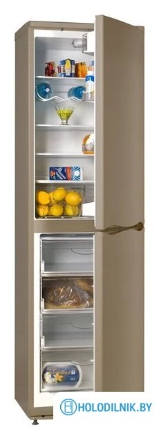 Холодильник ATLANT ХМ 6025-050