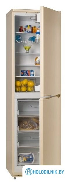 Холодильник ATLANT ХМ 6025-081