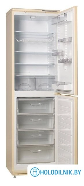 Холодильник ATLANT ХМ 6025-081