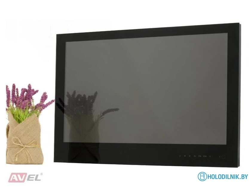 Телевизор AVEL AVS240WS (черный)
