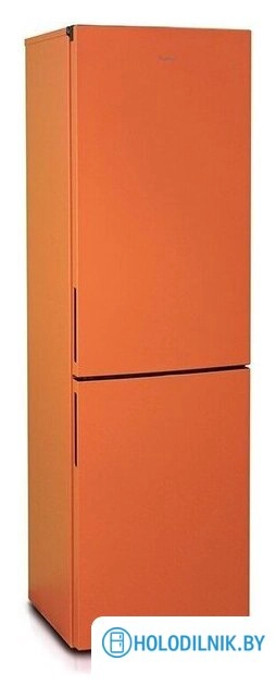 Холодильник Бирюса T6149