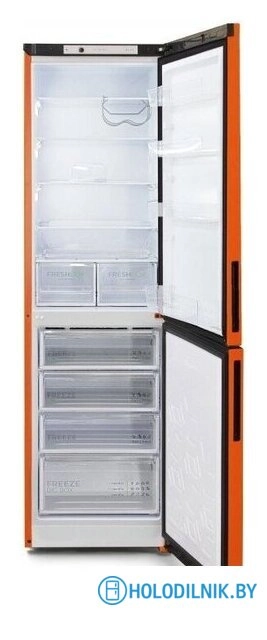 Холодильник Бирюса T6149