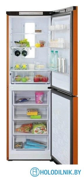 Холодильник Бирюса T940NF