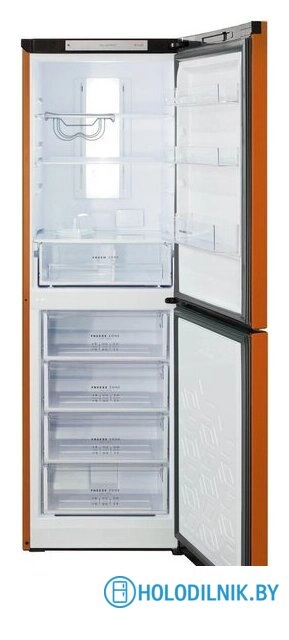 Холодильник Бирюса T940NF