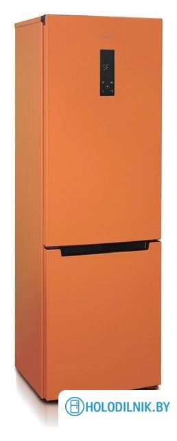Холодильник Бирюса T960NF