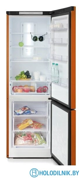 Холодильник Бирюса T960NF