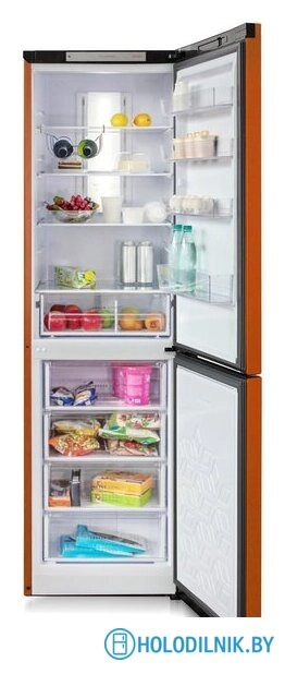 Холодильник Бирюса T980NF