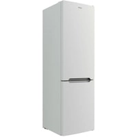 Холодильник Candy CCRN 6200W