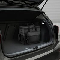 Термоэлектрический автохолодильник Coolfort CF-0235 29л (серый)