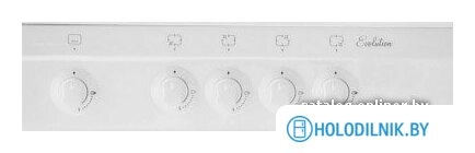 Кухонная плита De luxe 5040.45 г щ