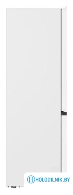Холодильник DeLonghi DCS 19NFI BM Damiano