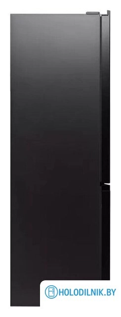 Холодильник DeLonghi DCS 19NFI IS Damiano