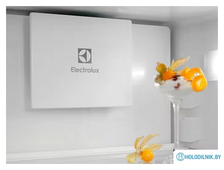 Холодильник Electrolux ENT6MD18S3