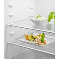 Холодильник Electrolux LNS5LE18S