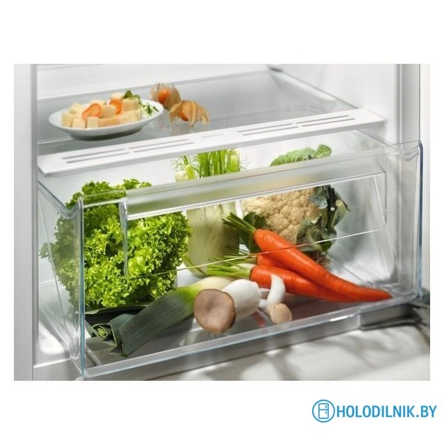 Однокамерный холодильник Electrolux LRB3AE12S