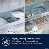 Холодильник Electrolux TwinTech No Frost 600 CustomFlex ENT6ME19S