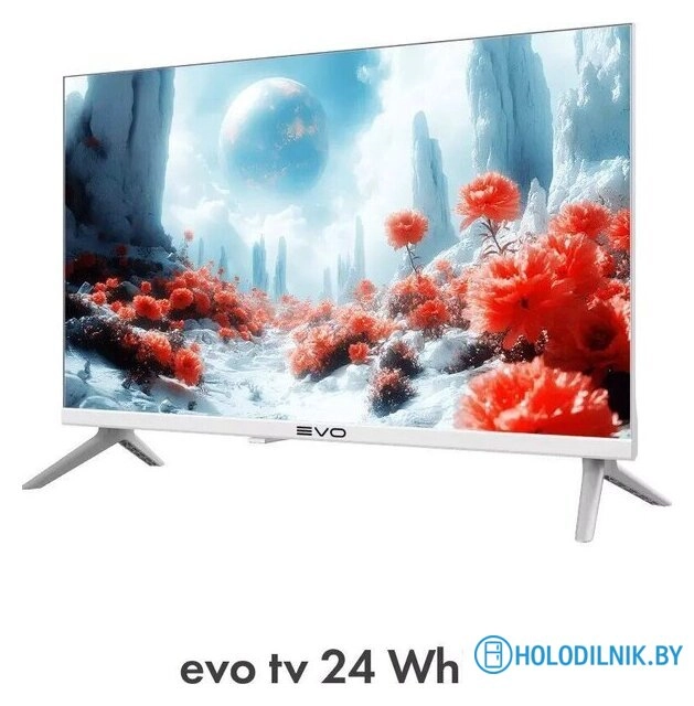 Телевизор Evo TV 24 White TD0051748RU
