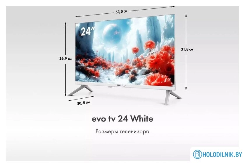 Телевизор Evo TV 24 White TD0051748RU
