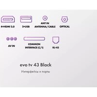 Телевизор Evo TV 43 Black TD0051752RU
