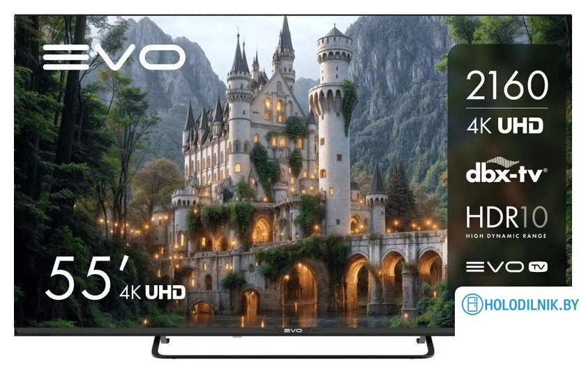 Телевизор Evo TV 55 Black TD0051754RU