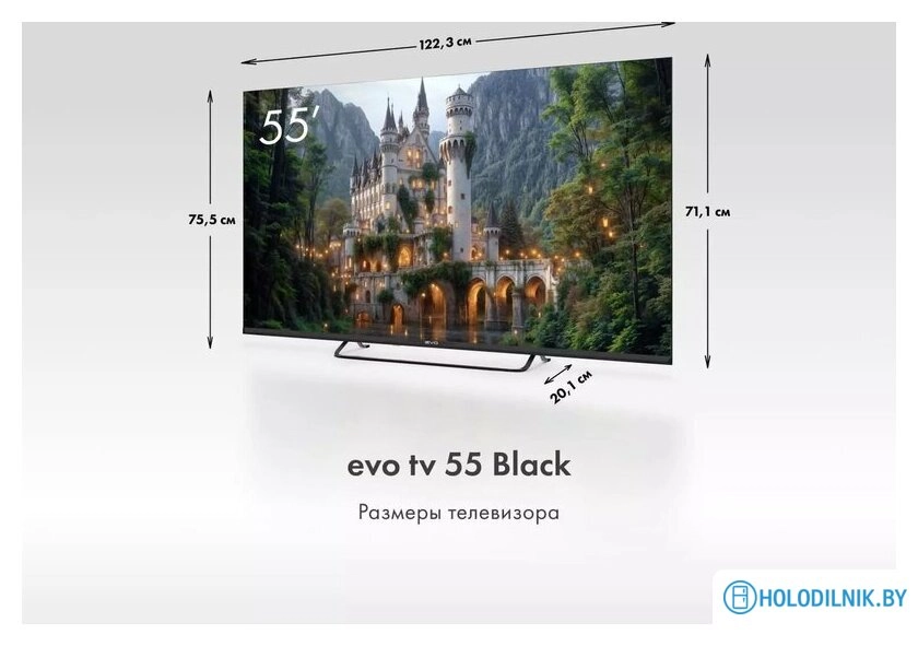 Телевизор Evo TV 55 Black TD0051754RU