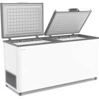 Морозильный ларь Frostor F 600 SD