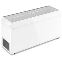 Морозильный ларь Frostor F 700 C