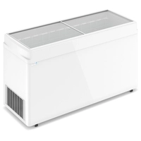 Морозильный ларь Frostor F600C