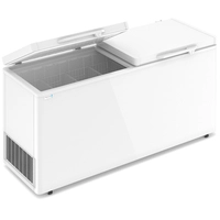 Морозильный ларь Frostor F800 SD