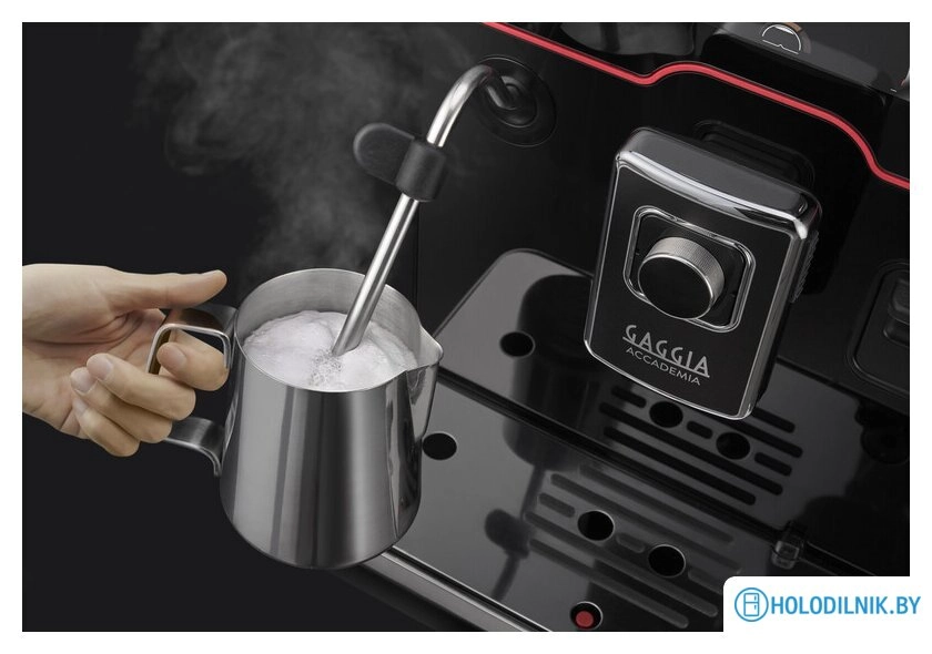 Кофемашина Gaggia Accademia One Touch RI9781/01