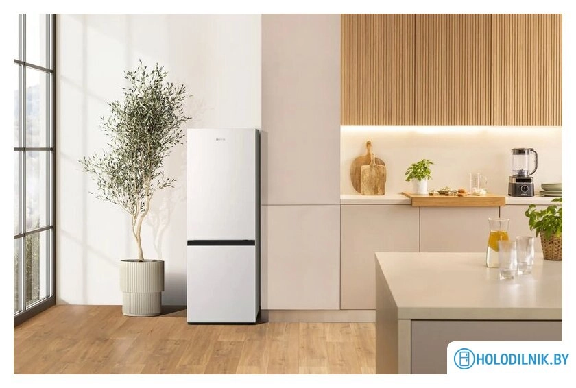 Холодильник Gorenje RK14F2W4