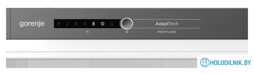 Холодильник Gorenje RKI2181A1