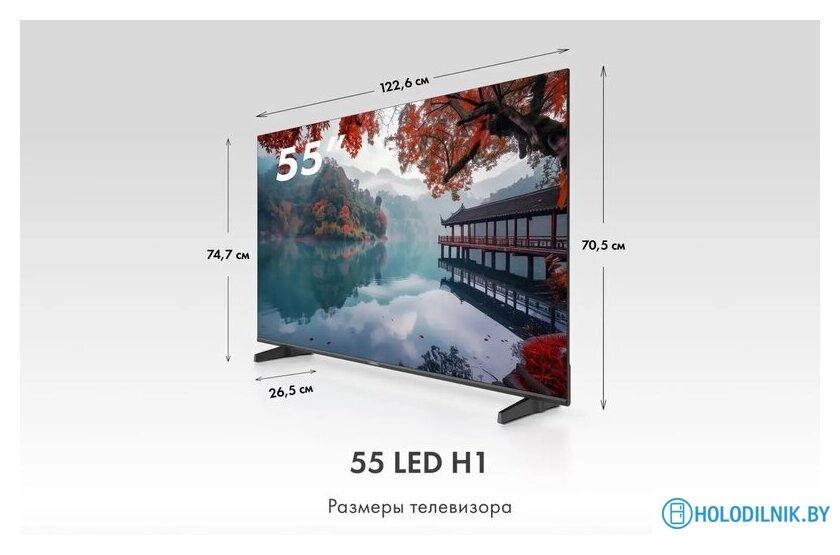 55 LED H1