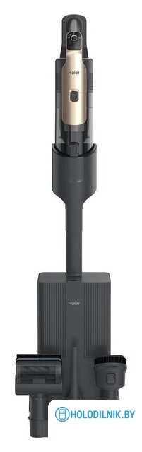 Пылесос Haier C6 Pro SC6P1B