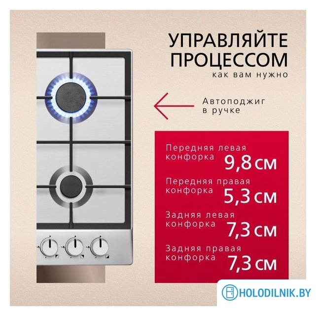 Варочная панель Hansa BHGI610502