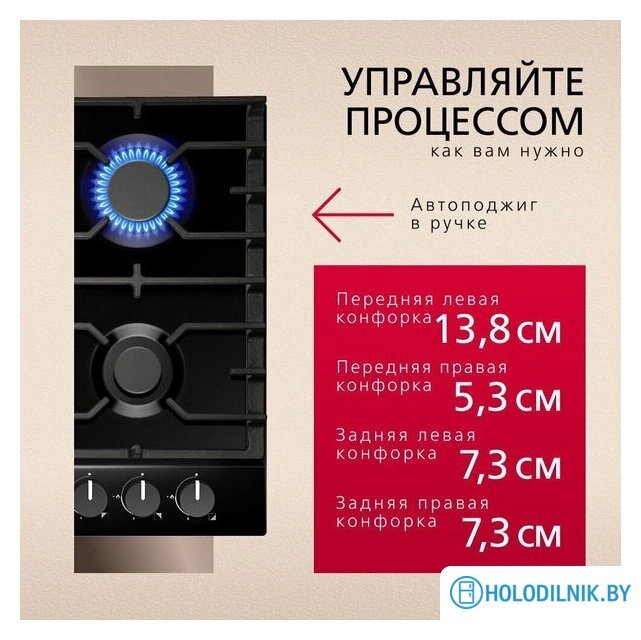 Варочная панель Hansa BHGS611839