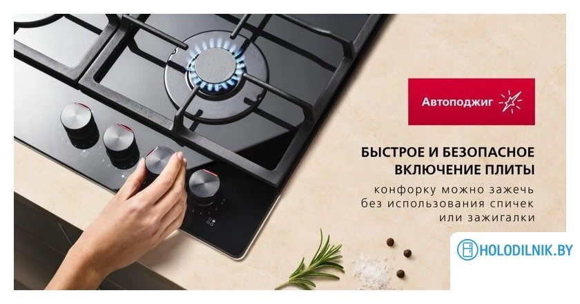 Варочная панель Hansa BHGS611839