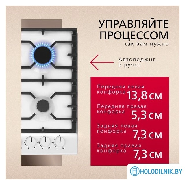 Варочная панель Hansa BHGW611839