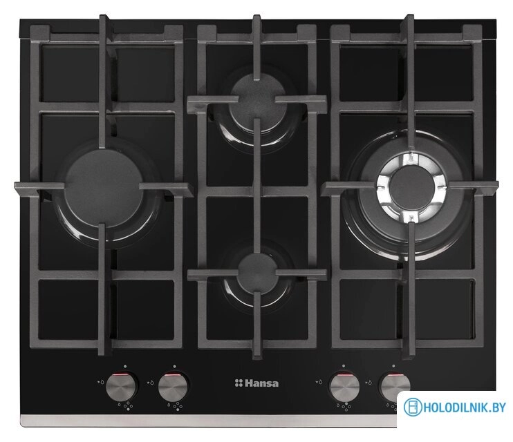 Варочная панель Hansa BHKS65135