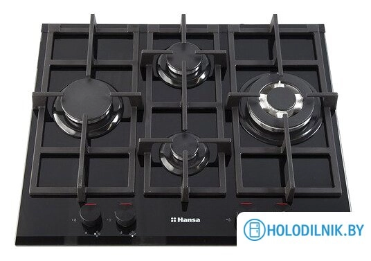 Варочная панель Hansa BHKS65135