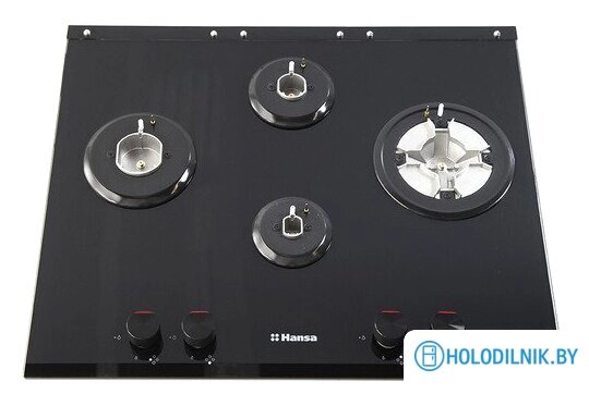 Варочная панель Hansa BHKS65135