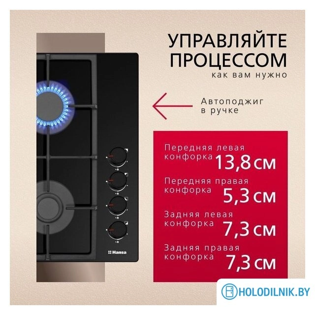 Варочная панель Hansa BHKS661830