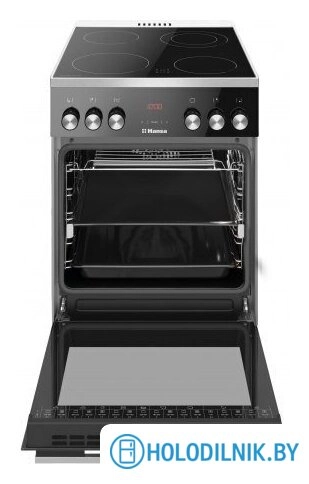 Кухонная плита Hansa FCCL59335