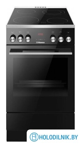 Кухонная плита Hansa FCCL59335
