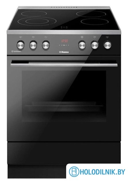 Кухонная плита Hansa FCCL69225