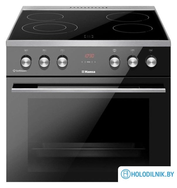 Кухонная плита Hansa FCCL69225