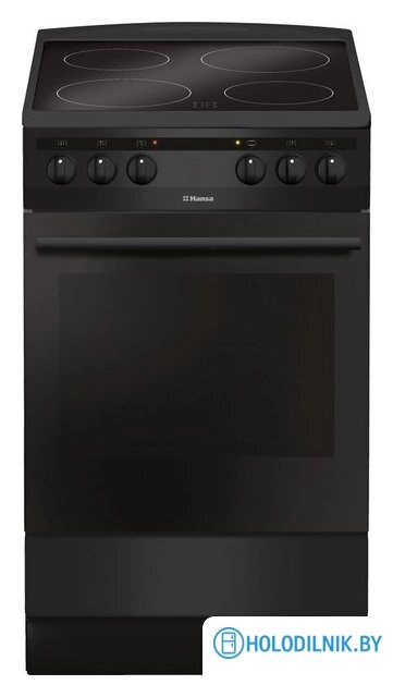 Кухонная плита Hansa FCCM58088