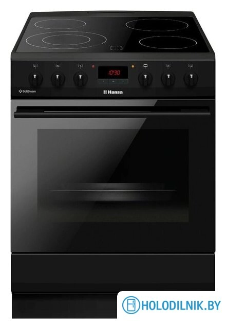 Кухонная плита Hansa FCCM69225H